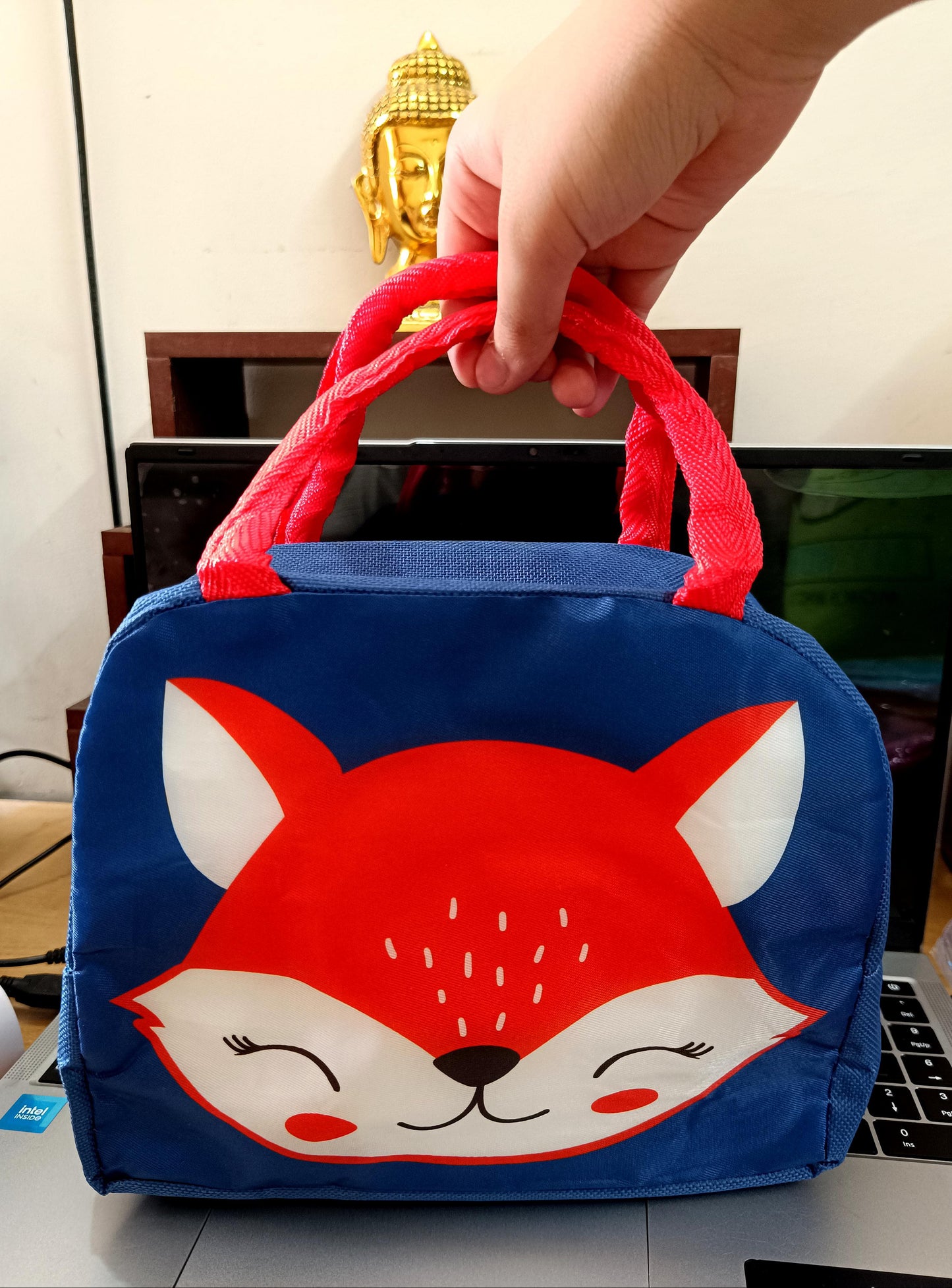 3D INSULATED KIDS TIFFIN BAGS